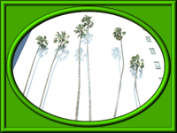 �C���[�W02