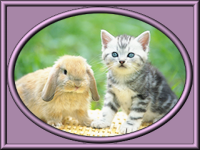 �C���[�W04